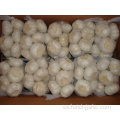 Bolsa grande Pure White Garlic Packed 500 g